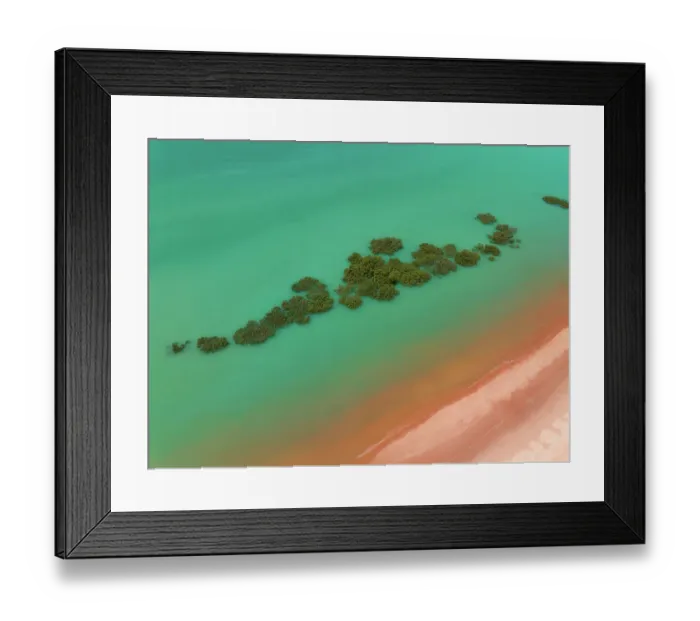 Framed Print : Aerial image showing mangrove trees in the Indian Ocean off Simpson Beach, Broome, Western Australia, Australia Framed Print : Aerial image showing mangrove trees in the Indian Ocean off Simpson Beach, Broome, Western Australia, Australia