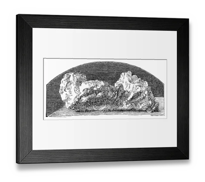 Framed Print : The Welcome (Gold) Nugget in Australia - 19th Century Framed Print : The Welcome (Gold) Nugget in Australia - 19th Century