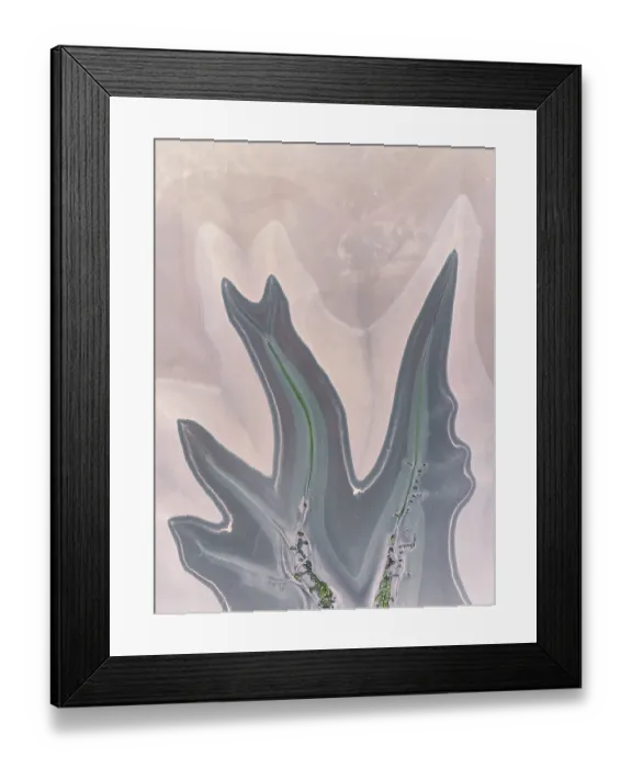 Framed Print : Tributaries from the King River photographed from a drone perspective, Wyndham, Western Australia, Australia