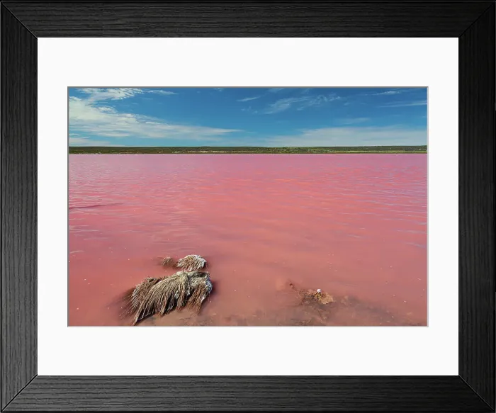 Framed Print : Pink Lake, Hutt Lagoon (Port Gregory - Western Australia)