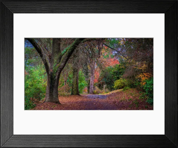Framed Print : Along the banks of the Ovens river in the township of Bright during Autumn, North Central Victoria, Australia Framed Print : Along the banks of the Ovens river in the township of Bright during Autumn, North Central Victoria, Australia