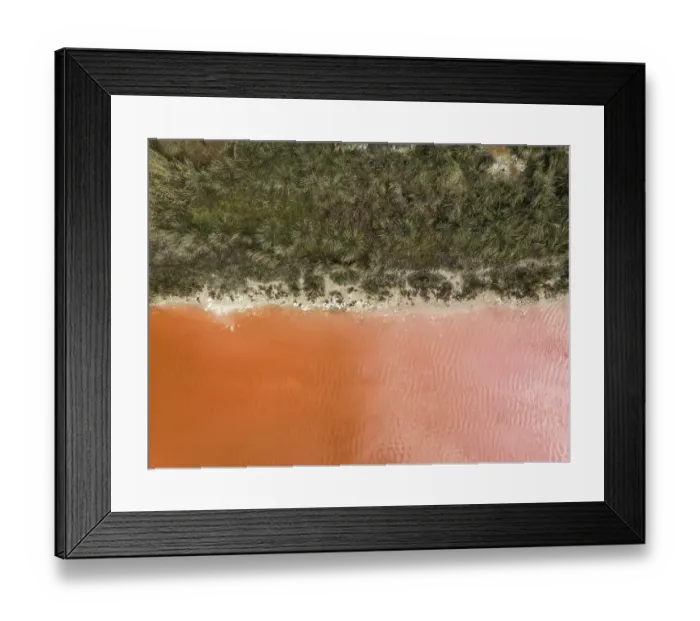 Framed Print : Edge of a forest and an orange coloured salt lake photographed from a drone point of view, South Australia, Australia Framed Print : Edge of a forest and an orange coloured salt lake photographed from a drone point of view, South Australia, Australia