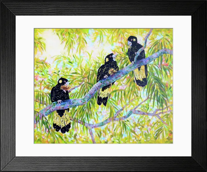 Framed Print : Australian Yellow-tailed Black Cockatoos Feeding in Tree Acrylic Painting