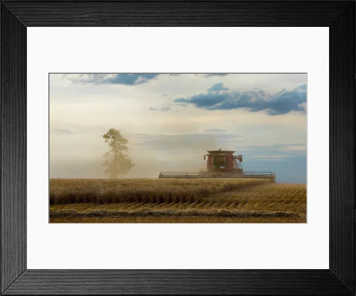 Framed Print : Harvesting a wheat crop in country NSW australia
