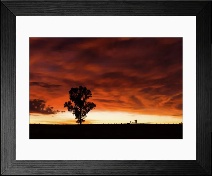 Framed Print : dawn sunrise in the outback Framed Print : dawn sunrise in the outback