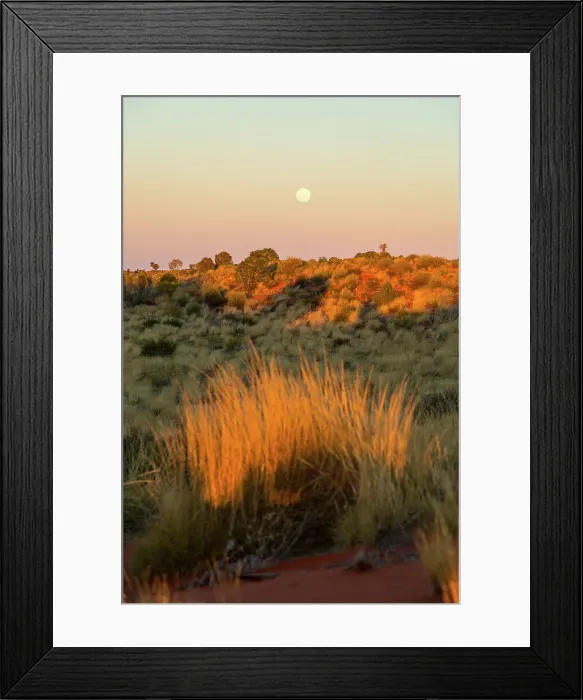 Framed Print : Full moon over arid landscape of central Australia. Northern Territory. Australia Framed Print : Full moon over arid landscape of central Australia. Northern Territory. Australia