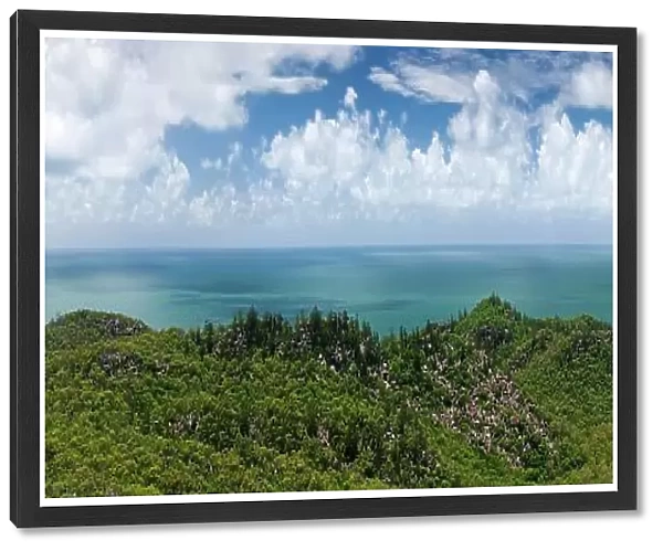 Panorama of the coast, nature, landscape, eucalyptus, sea, Pacific Ocean on the tropical island of Magnetic Island, Queensland, Australia, Oceania