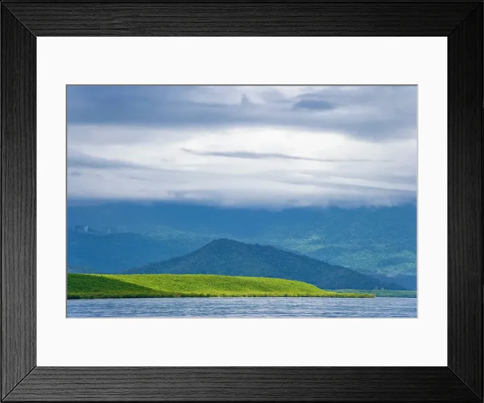 Framed Print : Australian rainforest, tropical, tropical in Port Douglas, Queensland, Australia, Oceania
