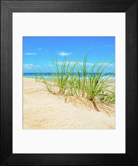 Framed Print : Beach Grass