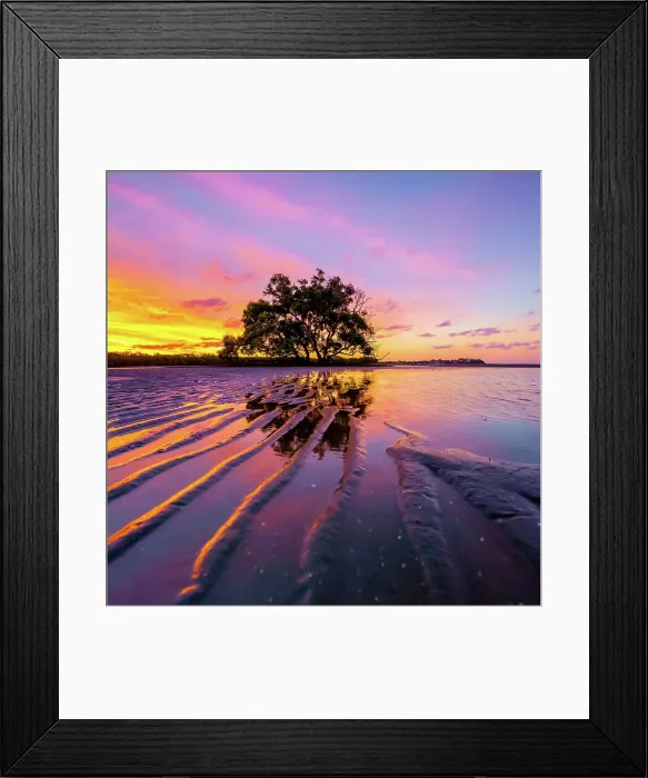Framed Print : Sand lines to tree Framed Print : Sand lines to tree