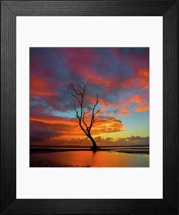 Framed Print : Tree at low tide