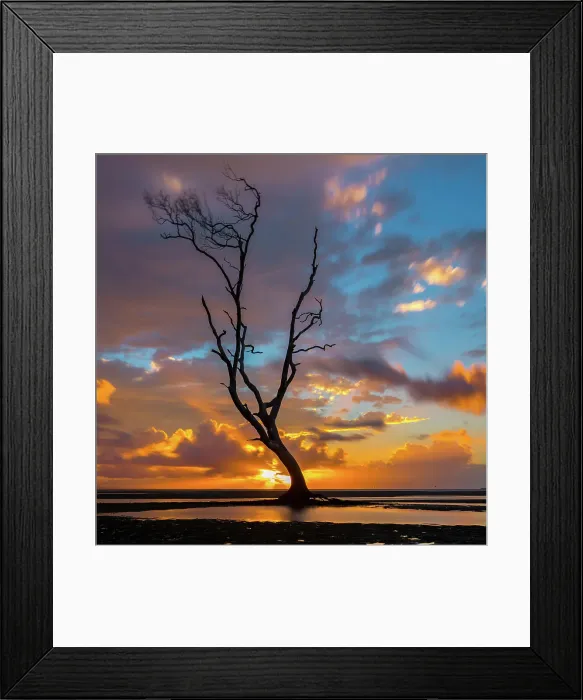 Framed Print : Tree Art. Sunrise on the flats Framed Print : Tree Art. Sunrise on the flats