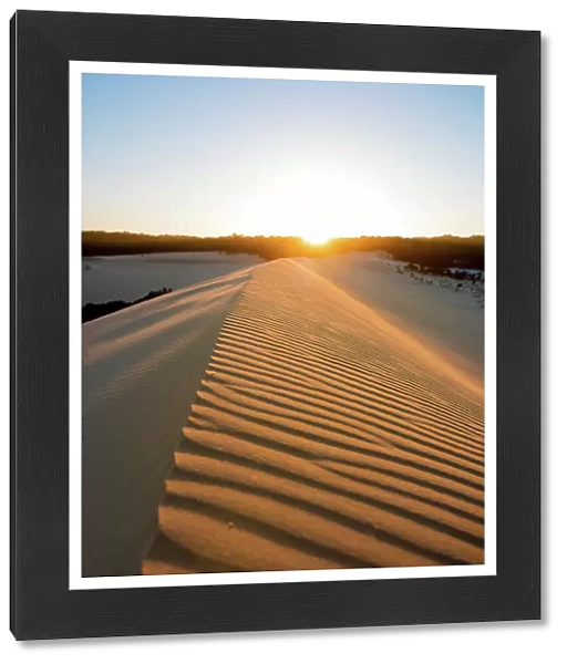Sand Dune. Sunrise on the sand