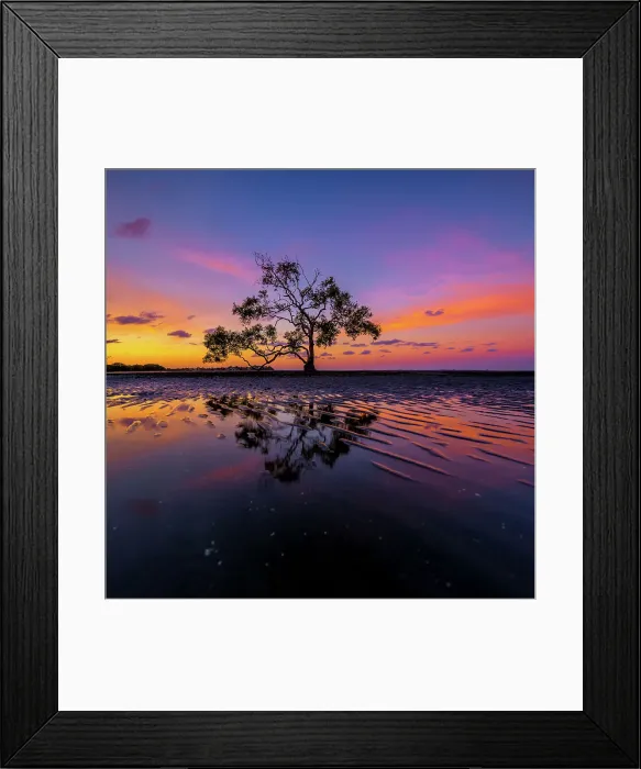Framed Print : Sunset at the tree