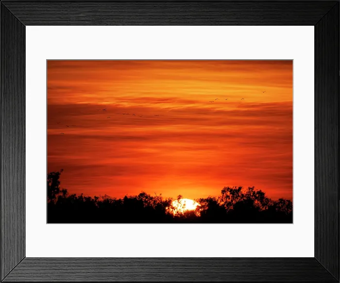 Framed Print : Silhouette of birds flying against orange sky Framed Print : Silhouette of birds flying against orange sky
