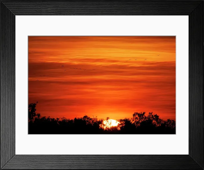 Framed Print : Silhouette of birds flying against orange sky