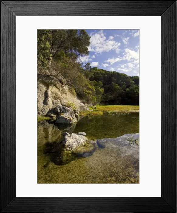 Framed Print : Pool on Squeaky Beach, Wilsons Promontory National Park, Victoria, Australia Framed Print : Pool on Squeaky Beach, Wilsons Promontory National Park, Victoria, Australia