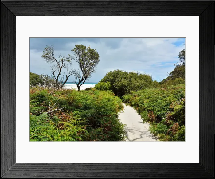 Framed Print : Sandy Path to the Beach, Squeaky Beach, Wilsons Promontory National Park, Victoria, Australia
