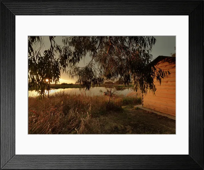 Framed Print : House Among The Gum Trees Framed Print : House Among The Gum Trees