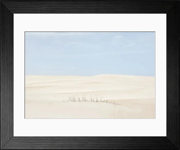 Framed Print : Sand dunes and stalks of dead plants. Coffin Bay. Eyre Peninsula. South Australia