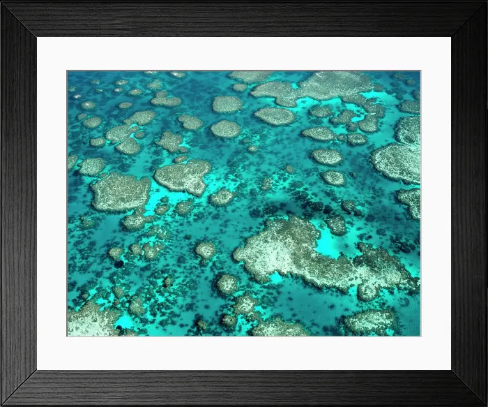 Framed Print : The Great Barrier Reef Framed Print : The Great Barrier Reef