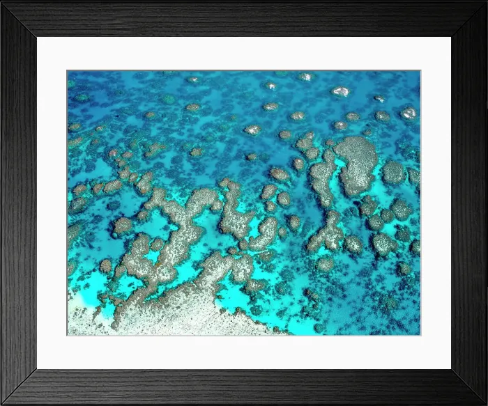 Framed Print : The Great Barrier Reef Framed Print : The Great Barrier Reef
