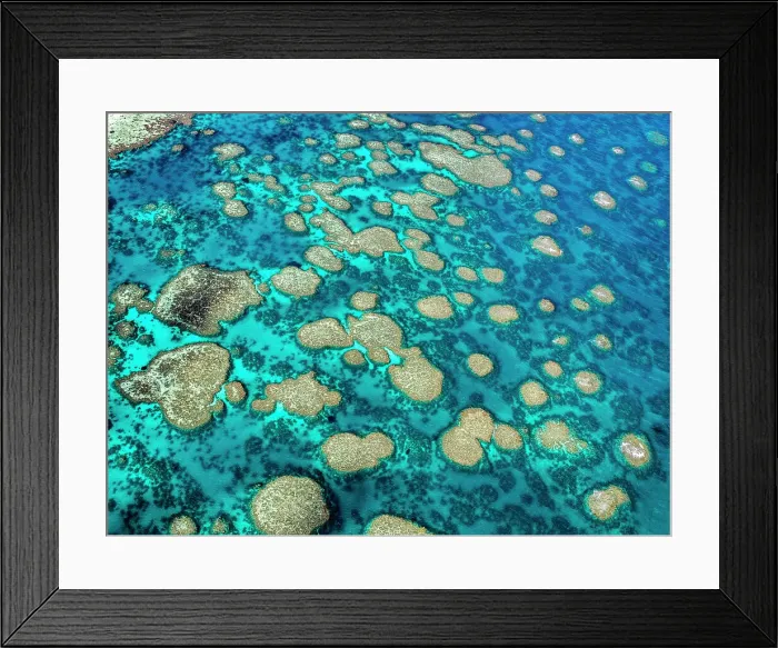 Framed Print : The Great Barrier Reef Framed Print : The Great Barrier Reef