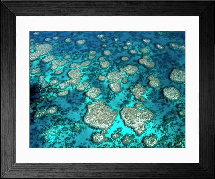 Framed Print : The Great Barrier Reef Framed Print : The Great Barrier Reef