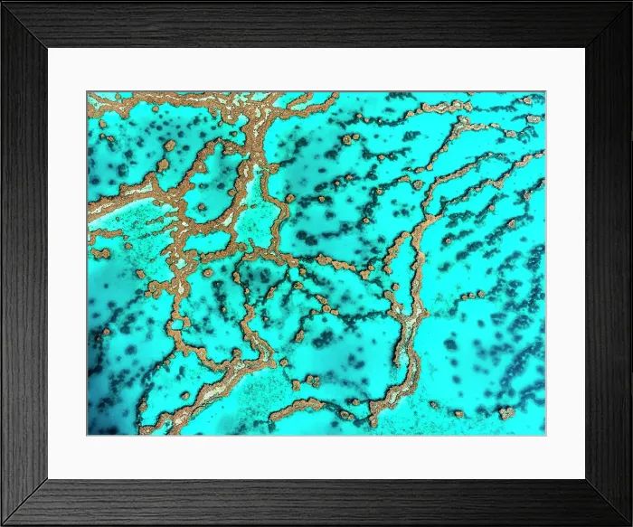 Framed Print : The Great Barrier Reef Framed Print : The Great Barrier Reef