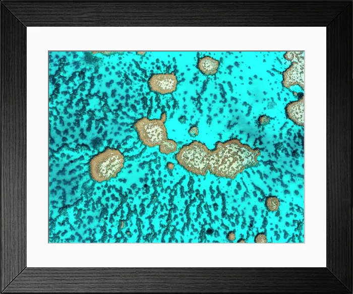 Framed Print : The Great Barrier Reef