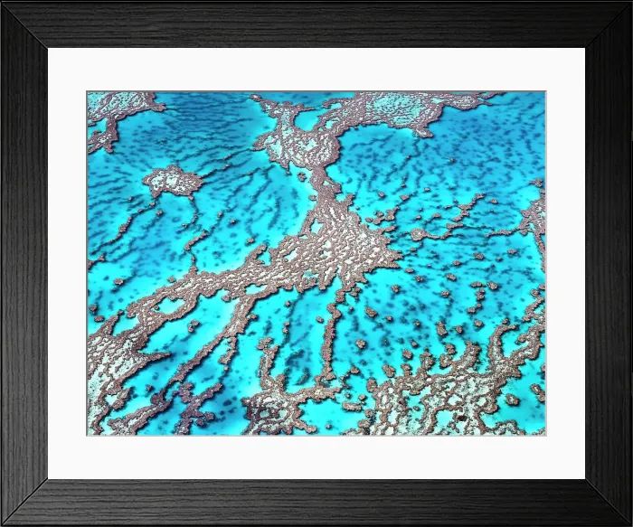 Framed Print : The Great Barrier Reef Framed Print : The Great Barrier Reef