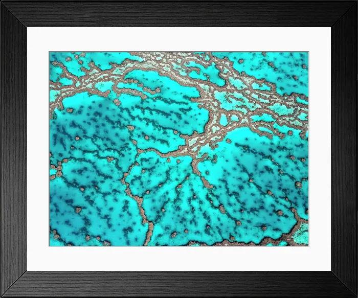 Framed Print : The Great Barrier Reef Framed Print : The Great Barrier Reef