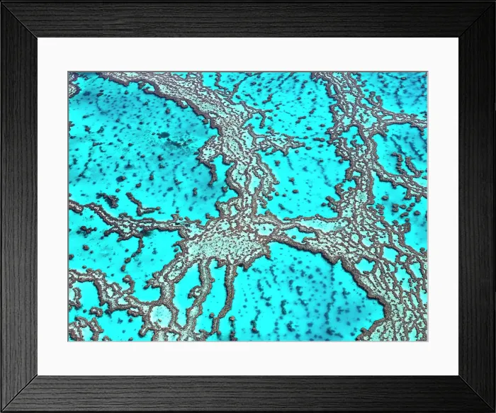 Framed Print : The Great Barrier Reef Framed Print : The Great Barrier Reef