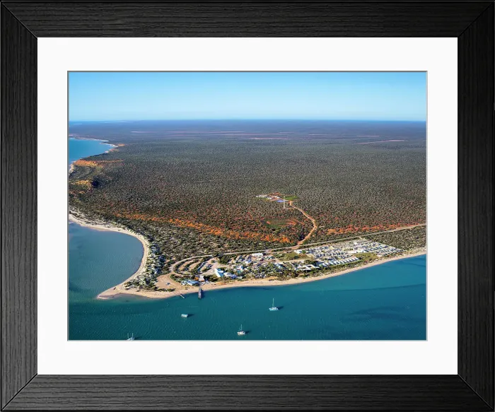 Framed Print : Monkey Mia Framed Print : Monkey Mia