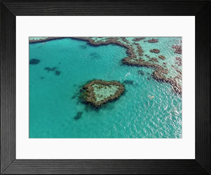 Framed Print : Coral Reef, Heart Reef, part of Hardy Reef, Outer Great Barrier Reef, Queensland Framed Print : Coral Reef, Heart Reef, part of Hardy Reef, Outer Great Barrier Reef, Queensland