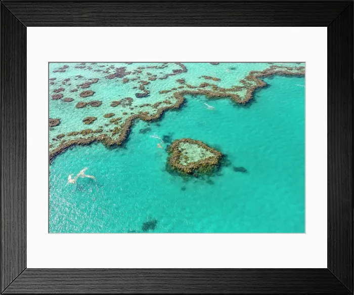 Framed Print : Coral Reef, Heart Reef, part of Hardy Reef, Outer Great Barrier Reef, Queensland Framed Print : Coral Reef, Heart Reef, part of Hardy Reef, Outer Great Barrier Reef, Queensland