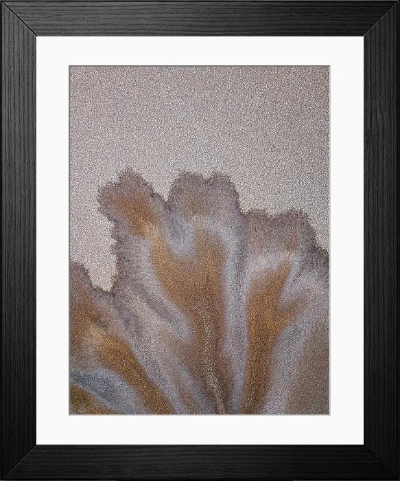 Framed Print : Abstract drone shot at the edge of a tributary of the King River, Wyndham, The Kimberley, Western Australia, Australia Framed Print : Abstract drone shot at the edge of a tributary of the King River, Wyndham, The Kimberley, Western Australia, Australia