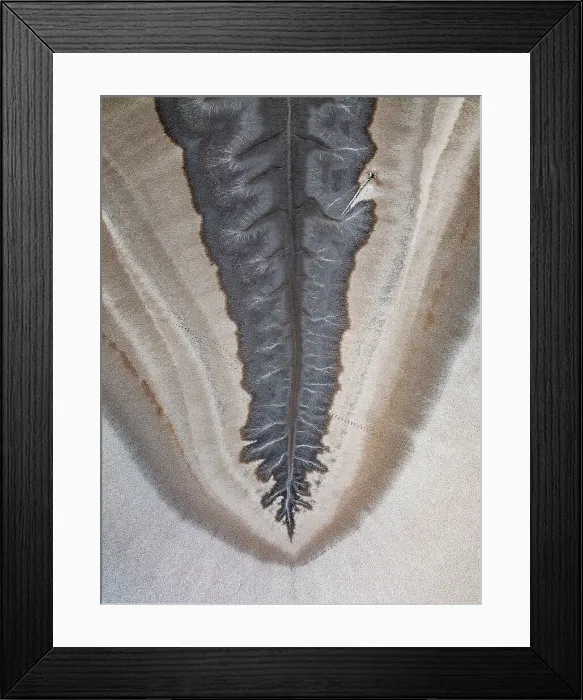 Framed Print : Drone shot directly above tributaries from the King River, The Kimberley, Western Australia, Australia