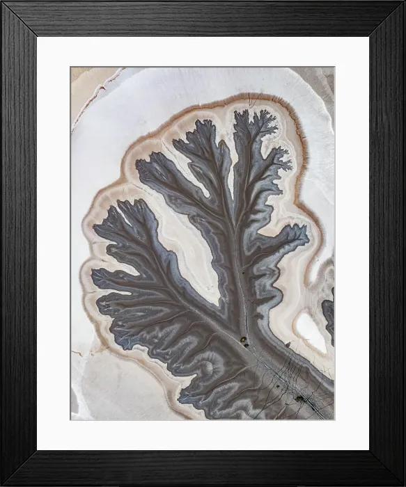 Framed Print : Overhead shot showing tributaries from the King River, The Kimberley, Western Australia, Australia