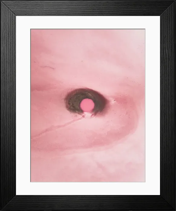 Framed Print : Drone photo looking down on a circular shape in a pink coloured salt lake, Lake Bumbunga, South Australia, Australia Framed Print : Drone photo looking down on a circular shape in a pink coloured salt lake, Lake Bumbunga, South Australia, Australia