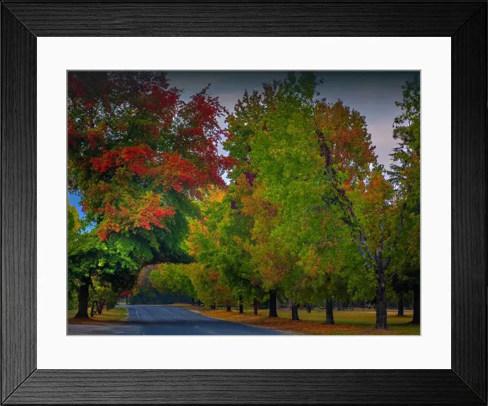 Framed Print : The vibrant autumn colours aound the town of Bright, Ovens Valley, Victoria, Australia Framed Print : The vibrant autumn colours aound the town of Bright, Ovens Valley, Victoria, Australia