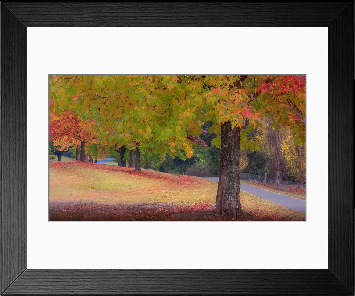 Framed Print : The vibrant autumn colours aound the town of Bright, Ovens Valley, Victoria, Australia