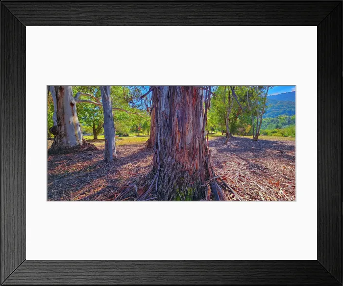 Framed Print : The vibrant autumn colours aound the town of Bright, Ovens Valley, Victoria, Australia Framed Print : The vibrant autumn colours aound the town of Bright, Ovens Valley, Victoria, Australia