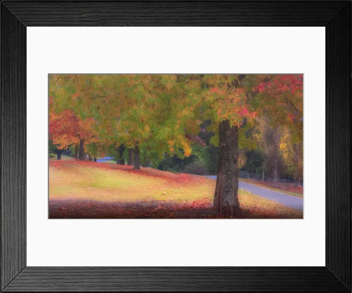Framed Print : The vibrant autumn colours aound the town of Bright, Ovens Valley, Victoria, Australia
