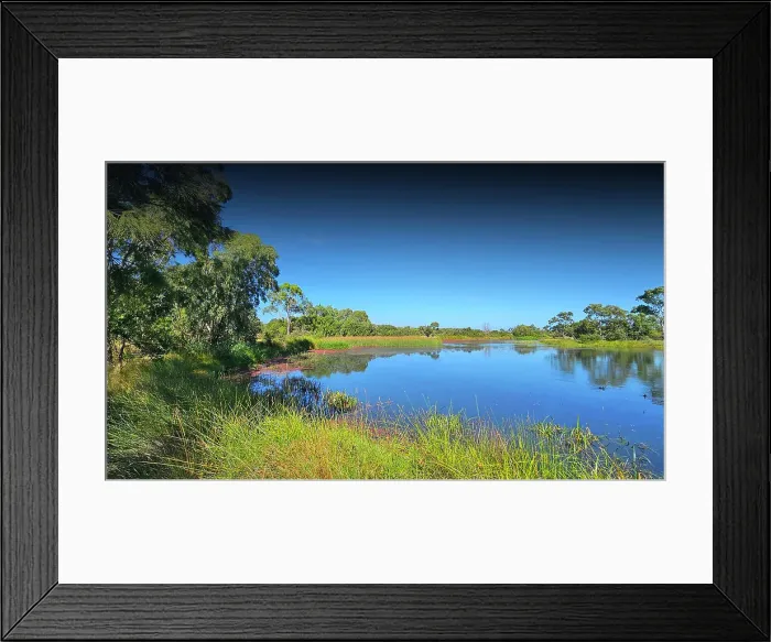 Framed Print : Late Summer in Braeside Regional Park, Victoria, Australia Framed Print : Late Summer in Braeside Regional Park, Victoria, Australia
