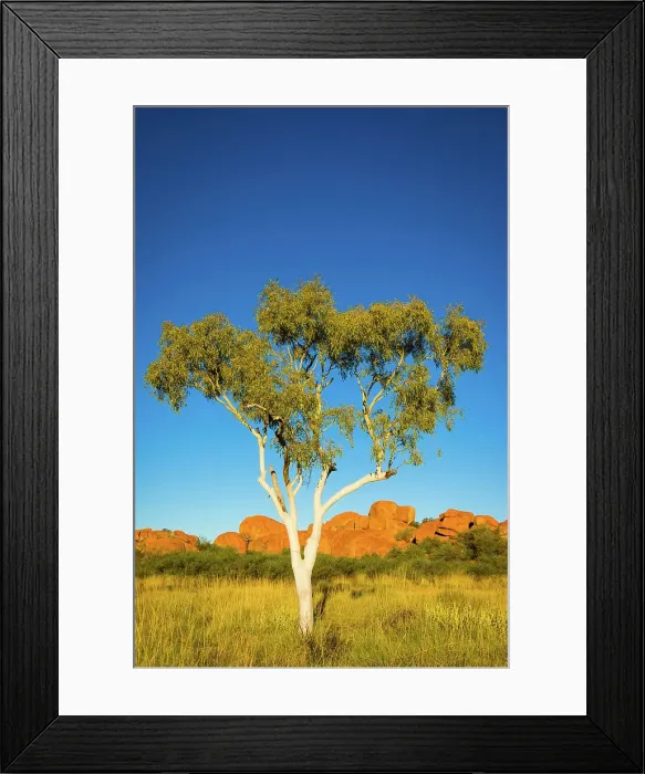 Framed Print : Ghost Gum and Devil's Marbles, Australia Framed Print : Ghost Gum and Devil's Marbles, Australia