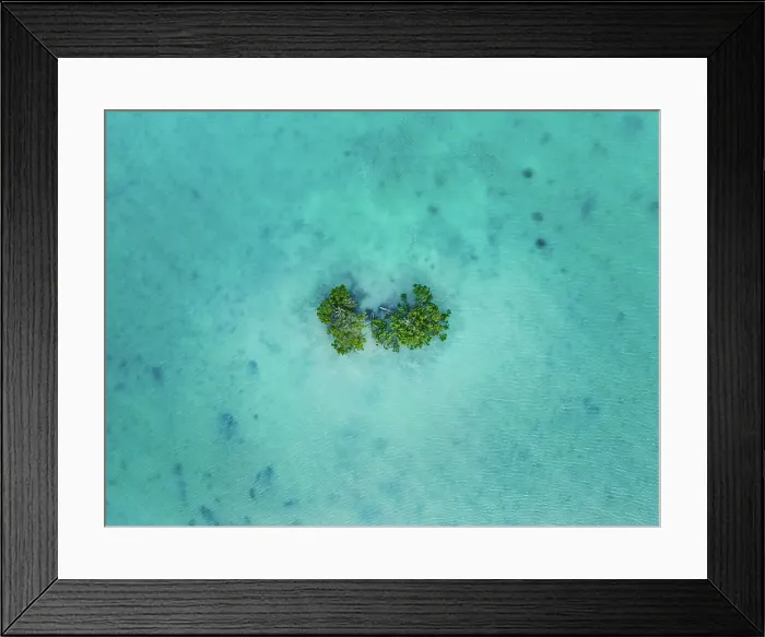 Framed Print : Drone image looking down on mangrove trees in Roebuck bay at high tide, Broome, Western Australia, Australia