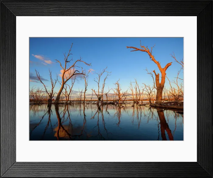 Framed Print : Last Rays of Sunset