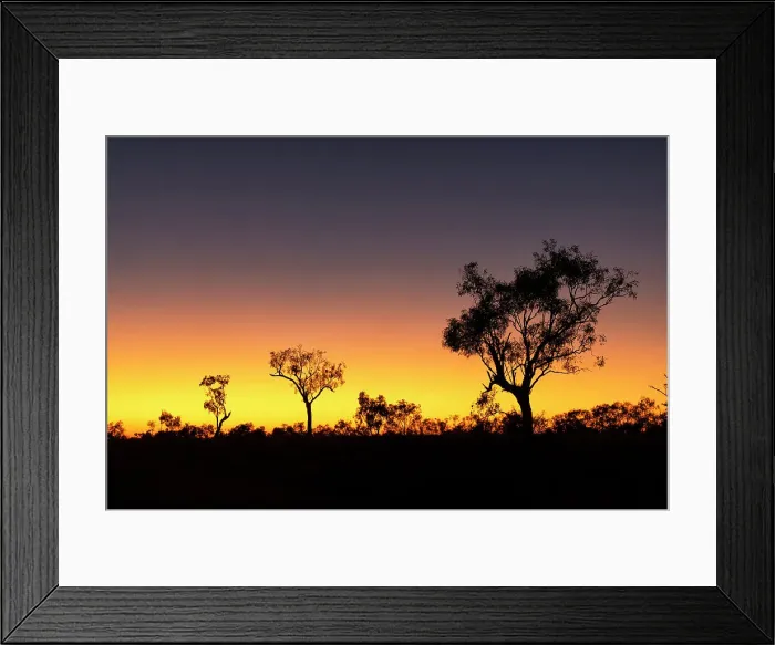 Framed Print : Sunrise with trees in silhouette