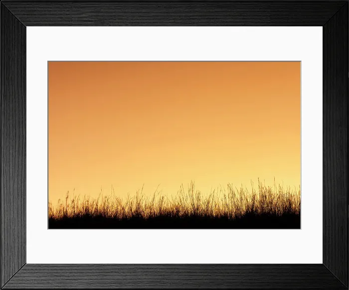 Framed Print : Sunset with grass in silhouette